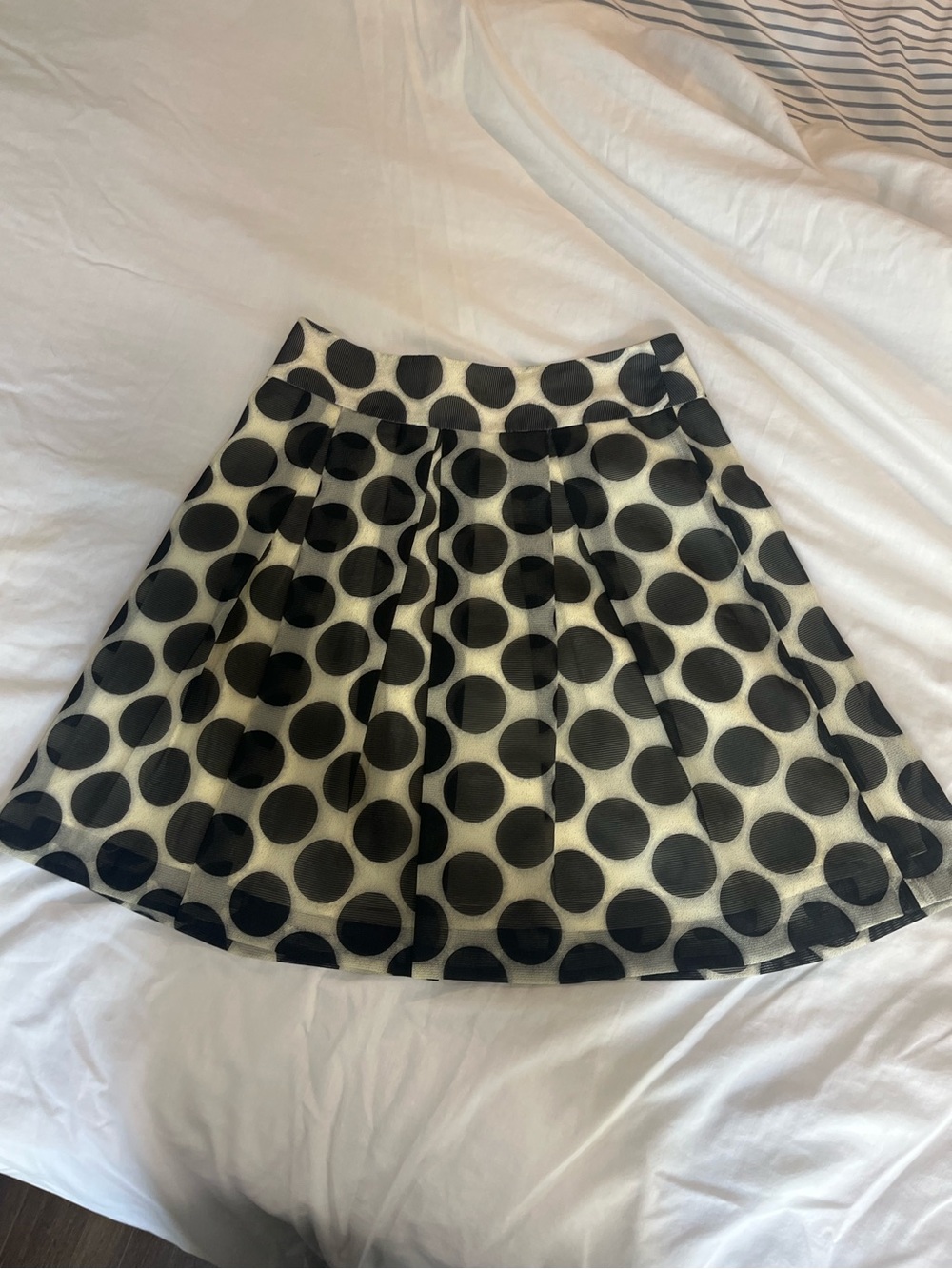 The Limited Black Polka Dot Skater Skirt on Cream